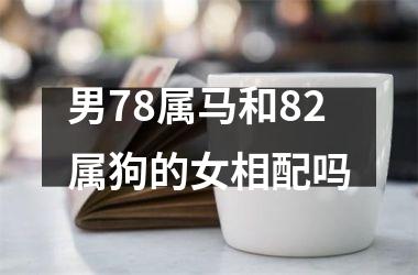 男78属马和82属狗的女相配吗