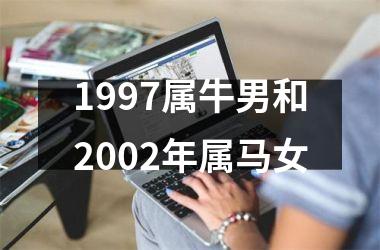 1997属牛男和2002年属马女