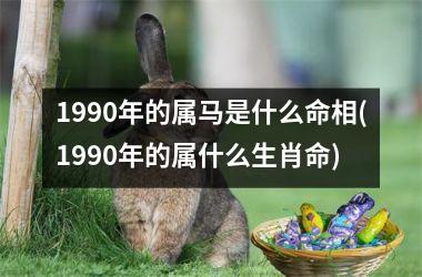 1990年的属马是什么命相(1990年的属什么生肖命)