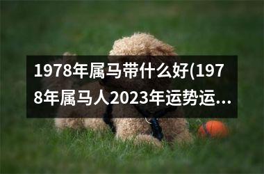 1978年属马带什么好(1978年属马人2025年运势运程)