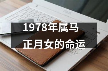 1978年属马正月女的命运