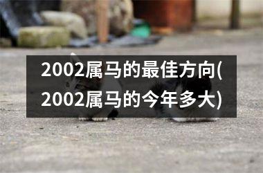 2002属马的最佳方向(2002属马的今年多大)