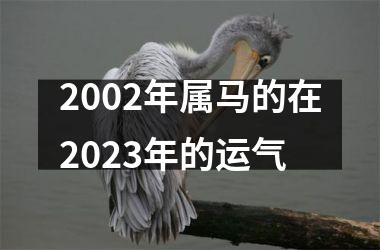 2002年属马的在2025年的运气