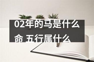 <h3>02年的马是什么命 五行属什么