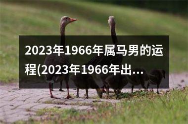 2023年1966年属马男的运程(2023年1966年出生男属马的全年运势)