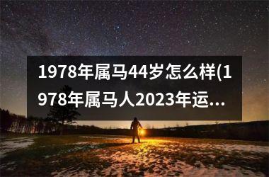 1978年属马44岁怎么样(1978年属马人2025年运势运程)