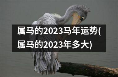 属马的2025马年运势(属马的2025年多大)