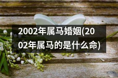 2002年属马婚姻(2002年属马的是什么命)