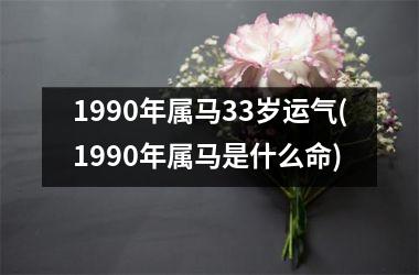 1990年属马33岁运气(1990年属马是什么命)