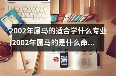 2002年属马的适合学什么专业(2002年属马的是什么命)