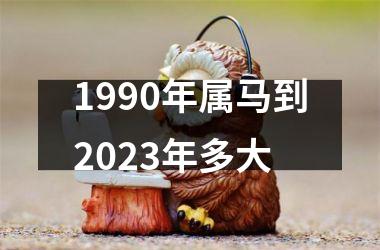 1990年属马到2025年多大