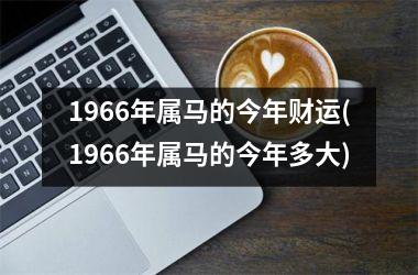 1966年属马的今年财运(1966年属马的今年多大)