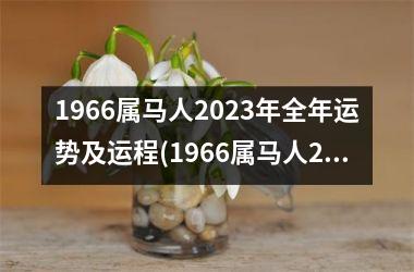 1966属马人2025年全年运势及运程(1966属马人2025年全年运势运程男性)