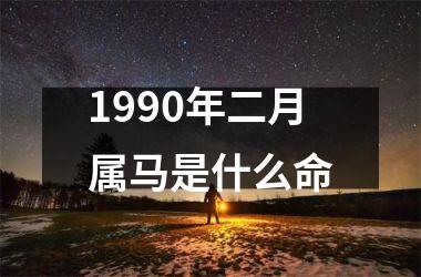 1990年二月属马是什么命