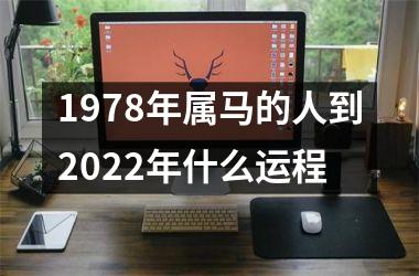 <h3>1978年属马的人到2025年什么运程