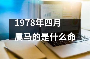 1978年四月属马的是什么命