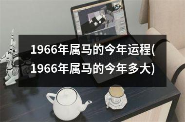 1966年属马的今年运程(1966年属马的今年多大)