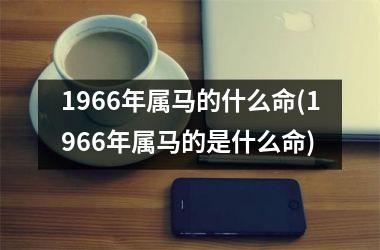 1966年属马的什么命(1966年属马的是什么命)