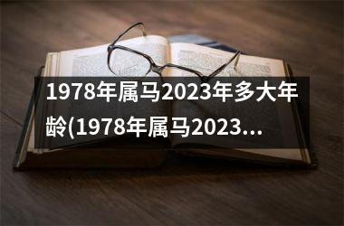 1978年属马2025年多大年龄(1978年属马2025年运势及运程每月运程)