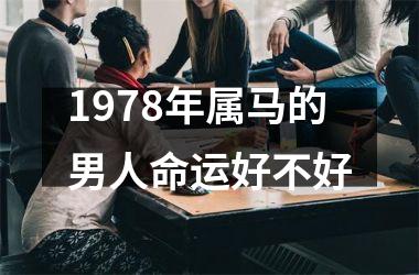 1978年属马的男人命运好不好