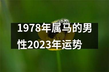 1978年属马的男性2025年运势