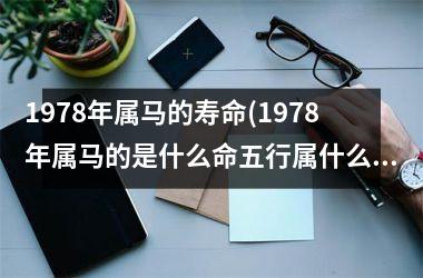 <h3>1978年属马的寿命(1978年属马的是什么命五行属什么)