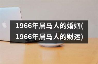 1966年属马人的婚姻(1966年属马人的财运)