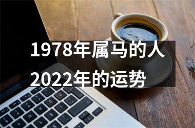 1978年属马的人2025年的运势