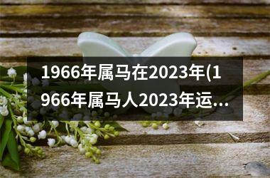 1966年属马在2023年(1966年属马人2023年运势男性)