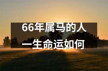 66年属马的人一生命运如何