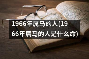 1966年属马的人(1966年属马的人是什么命)