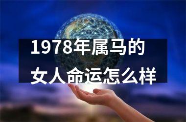 1978年属马的女人命运怎么样