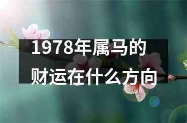 1978年属马的财运在什么方向