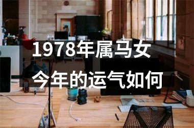 1978年属马女今年的运气如何