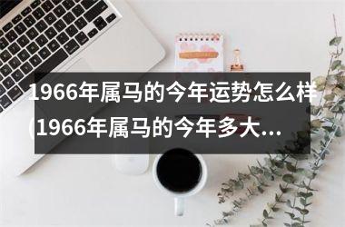 1966年属马的今年运势怎么样(1966年属马的今年多大)