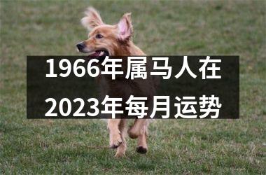 1966年属马人在2025年每月运势