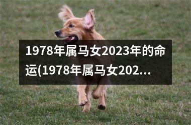 1978年属马女2025年的命运(1978年属马女2025年运势完整版)