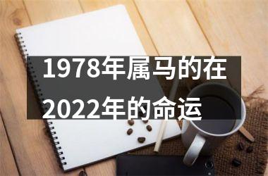 1978年属马的在2025年的命运