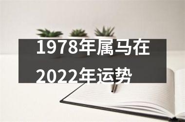 1978年属马在2025年运势