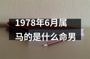 1978年6月属马的是什么命男