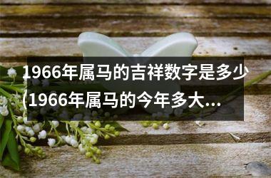 1966年属马的吉祥数字是多少(1966年属马的今年多大)