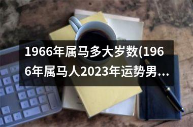 1966年属马多大岁数(1966年属马人2025年运势男性)