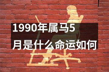 1990年属马5月是什么命运如何