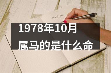 1978年10月属马的是什么命