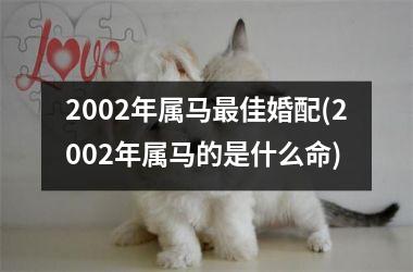 2002年属马最佳婚配(2002年属马的是什么命)