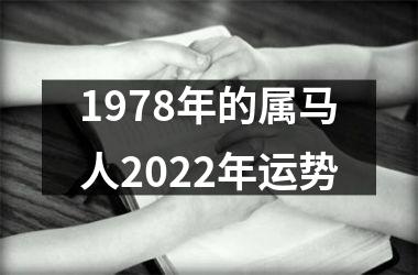 1978年的属马人2025年运势