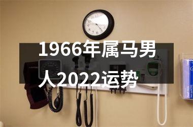 1966年属马男人2025运势