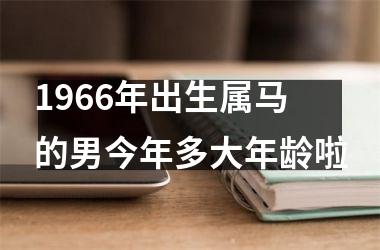 1966年出生属马的男今年多大年龄啦