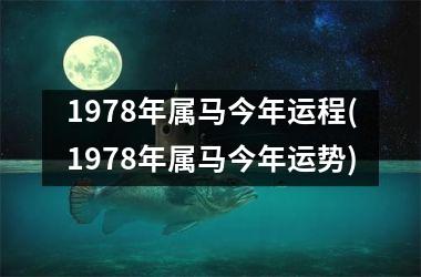 1978年属马今年运程(1978年属马今年运势)