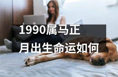 1990属马正月出生命运如何